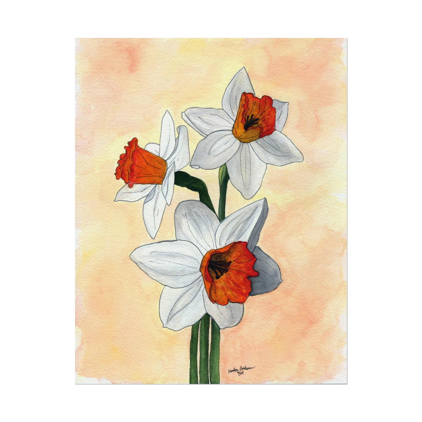 Watercolor DaffodilsTextured Watercolor Posters
