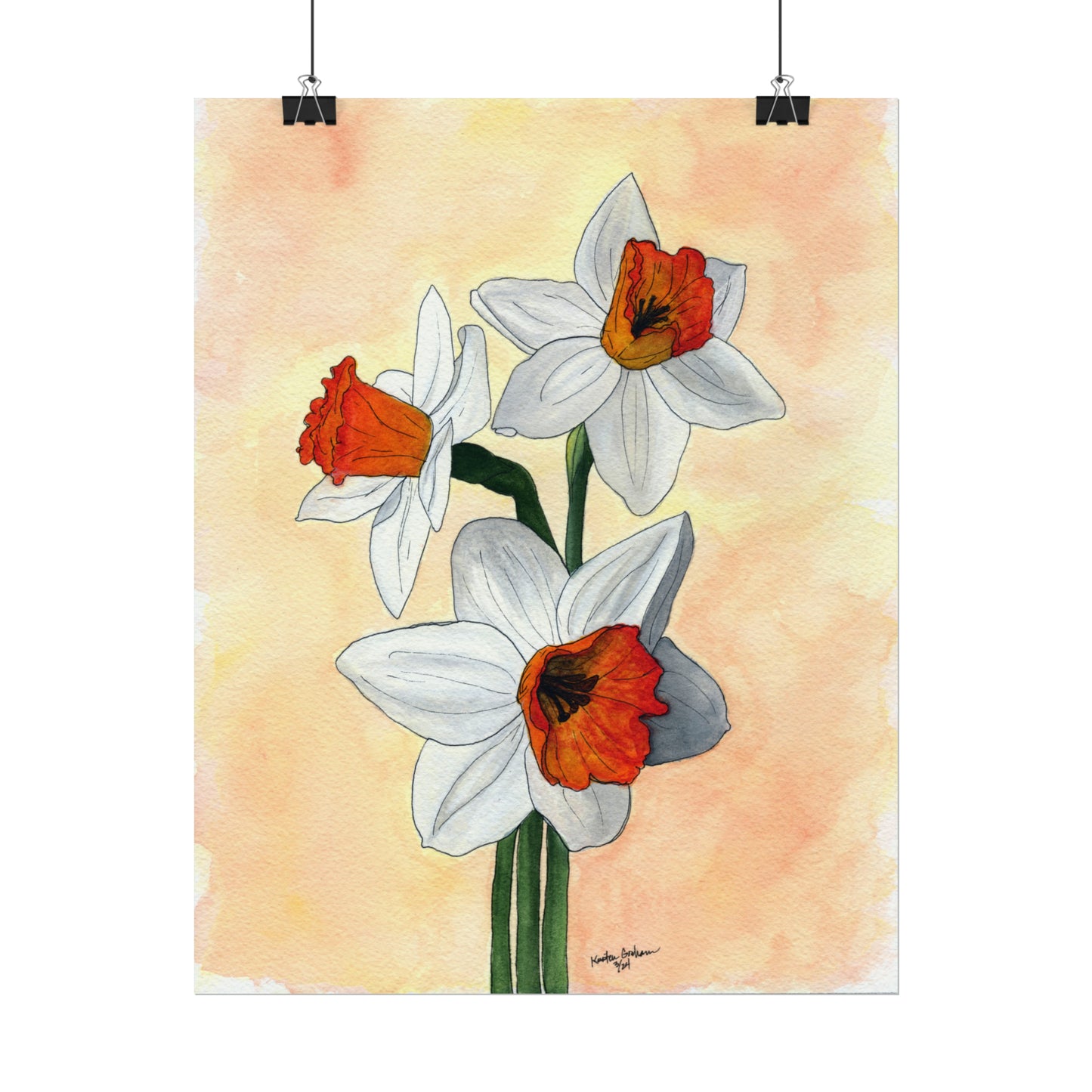 Watercolor DaffodilsTextured Watercolor Posters
