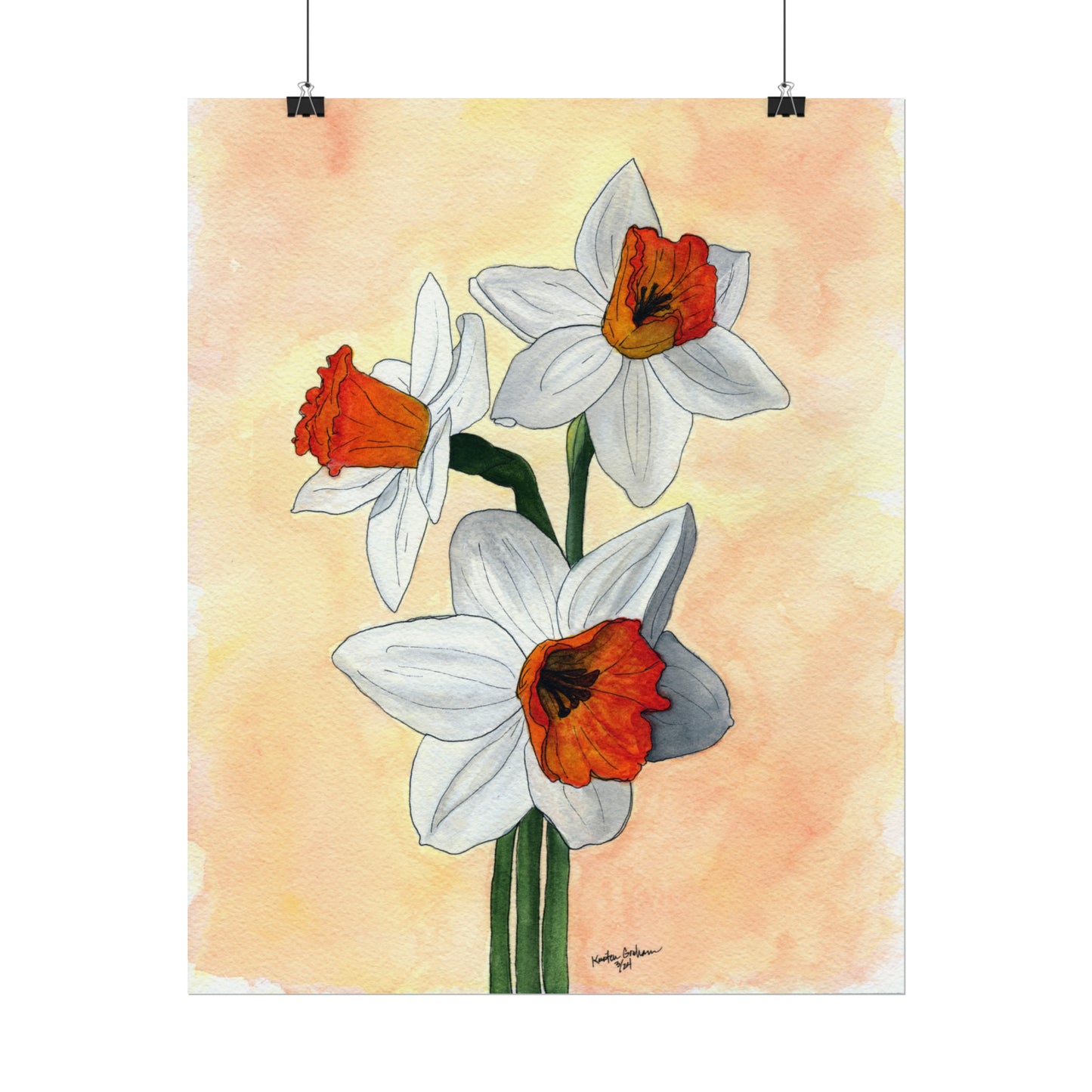Watercolor DaffodilsTextured Watercolor Posters