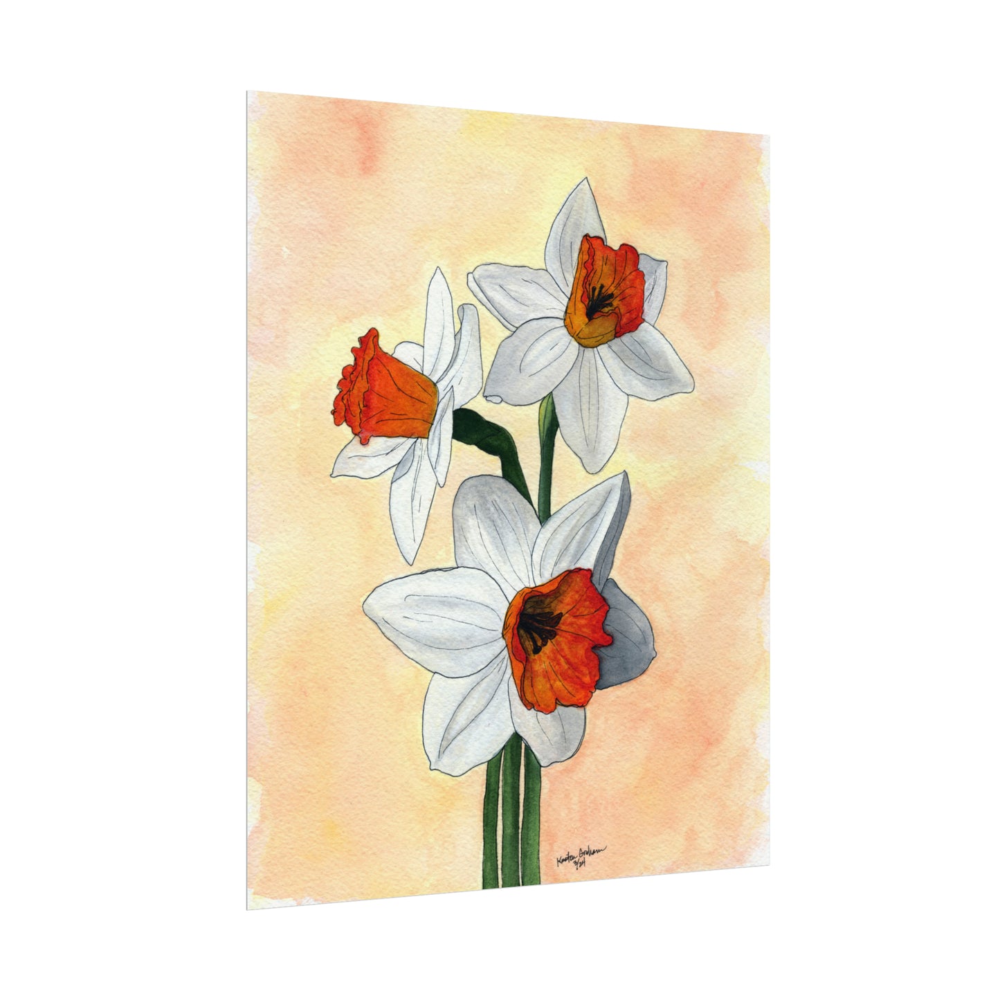 Watercolor DaffodilsTextured Watercolor Posters