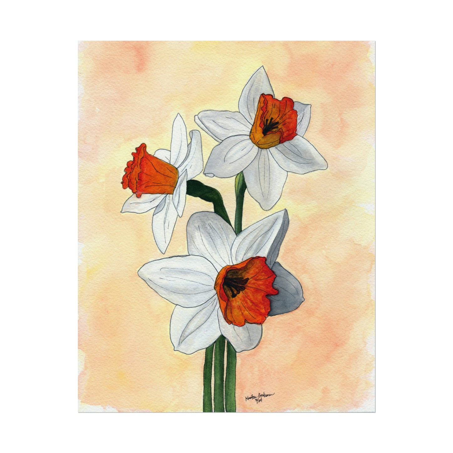 Watercolor DaffodilsTextured Watercolor Posters