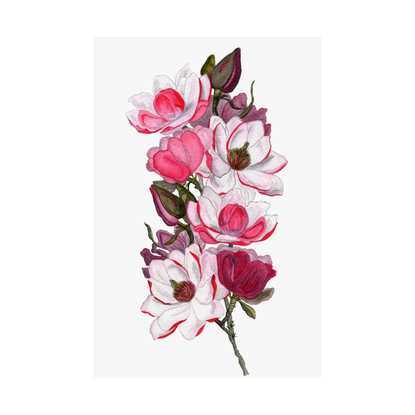 Pink Magnolias Matte Vertical Posters