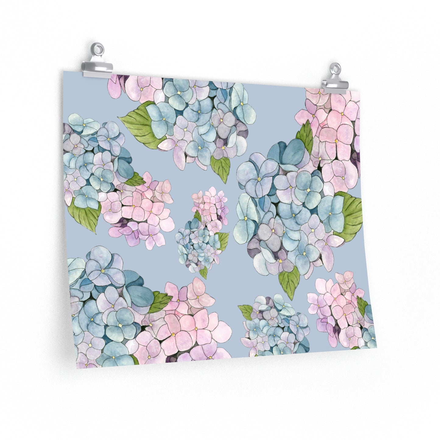 Hydrangeas Premium Matte Poster