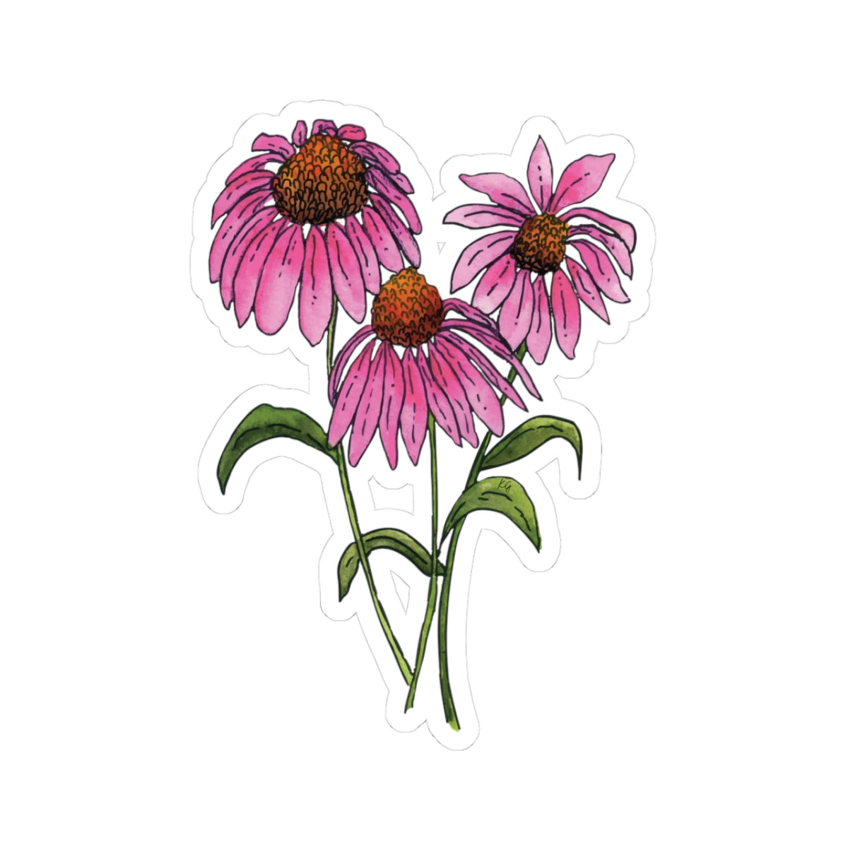 Echinacea Flowers Kiss-Cut Stickers
